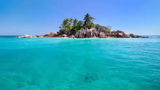 青游记vlog | 来青海湖吧!偶遇一群令人心动的“羊咩咩”