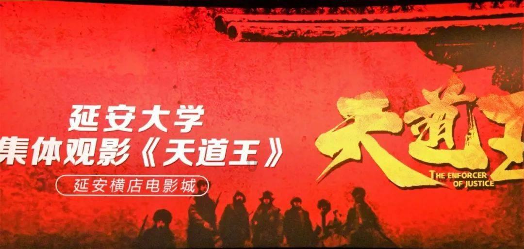 可怜猫的救援
